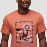 Llama Greetings T-Shirt - Men's